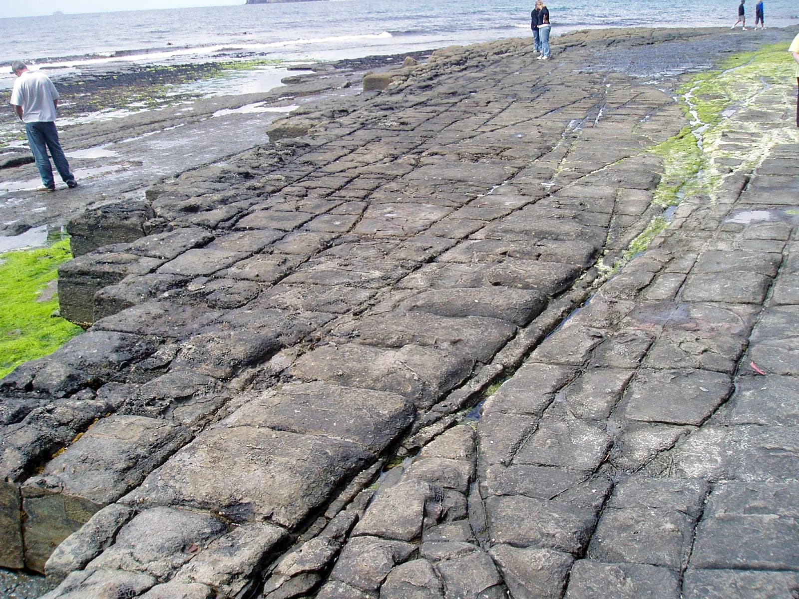 Tessellated Pavement beside the water at Eaglehawk Neck