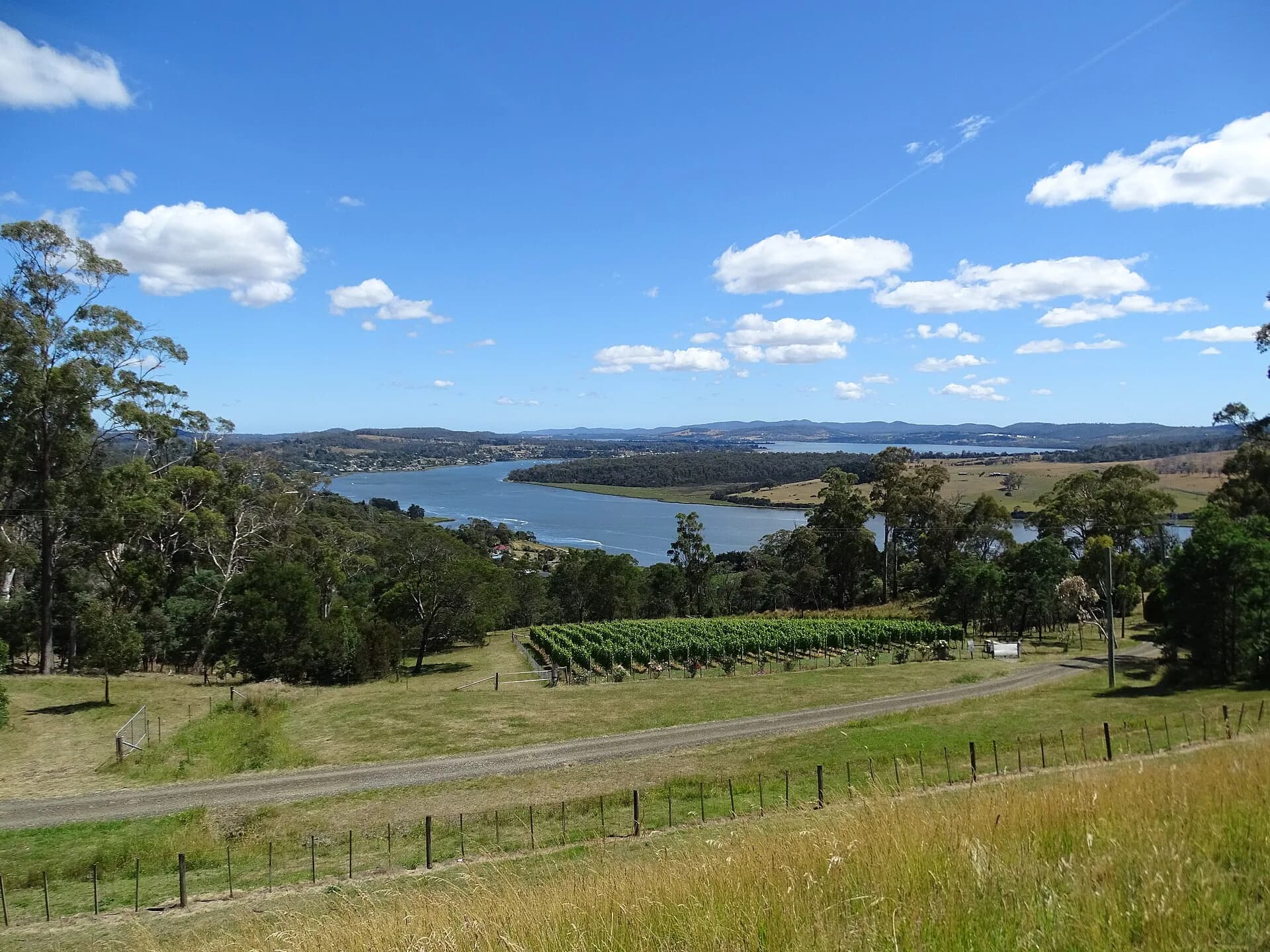 Road and river landscape on the Tamar Valley wine route