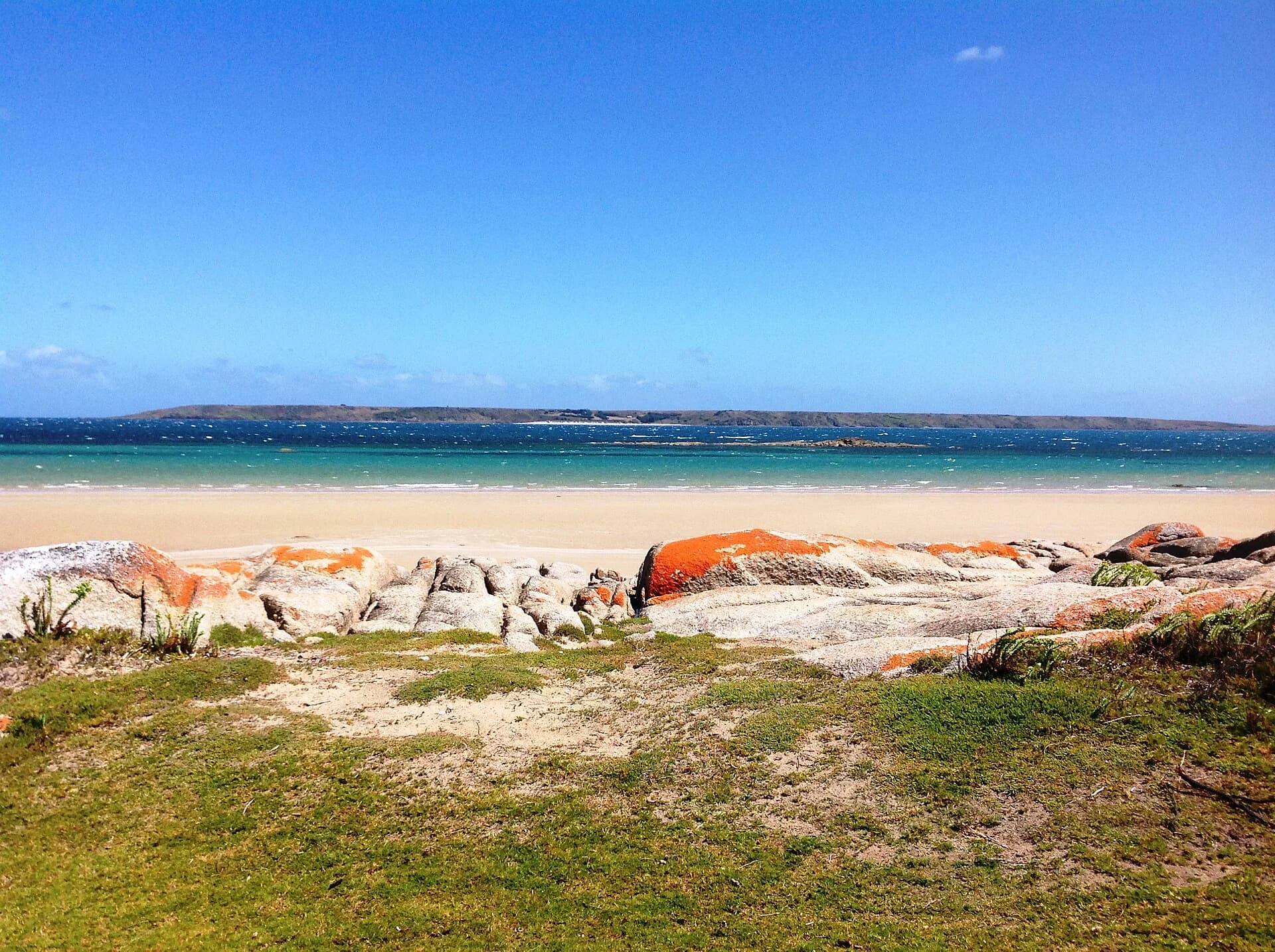 Beach and coastal vegetation in the Waterhouse Island Group