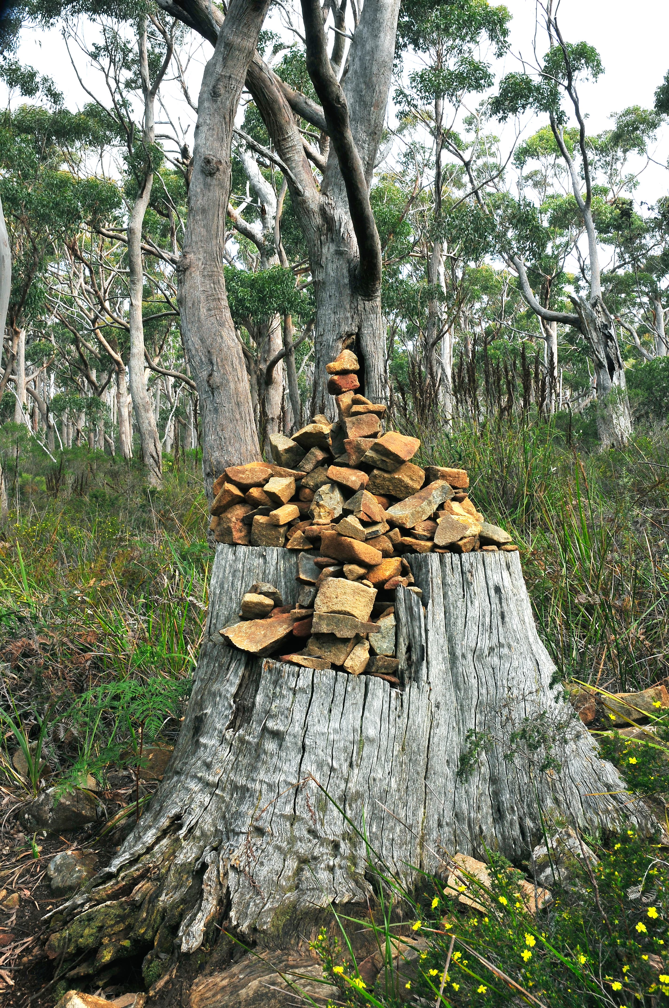 A cairn on the Cape Raoul Walk. Tasman National Park, Tasman Peninsula, Tasmania, Australia