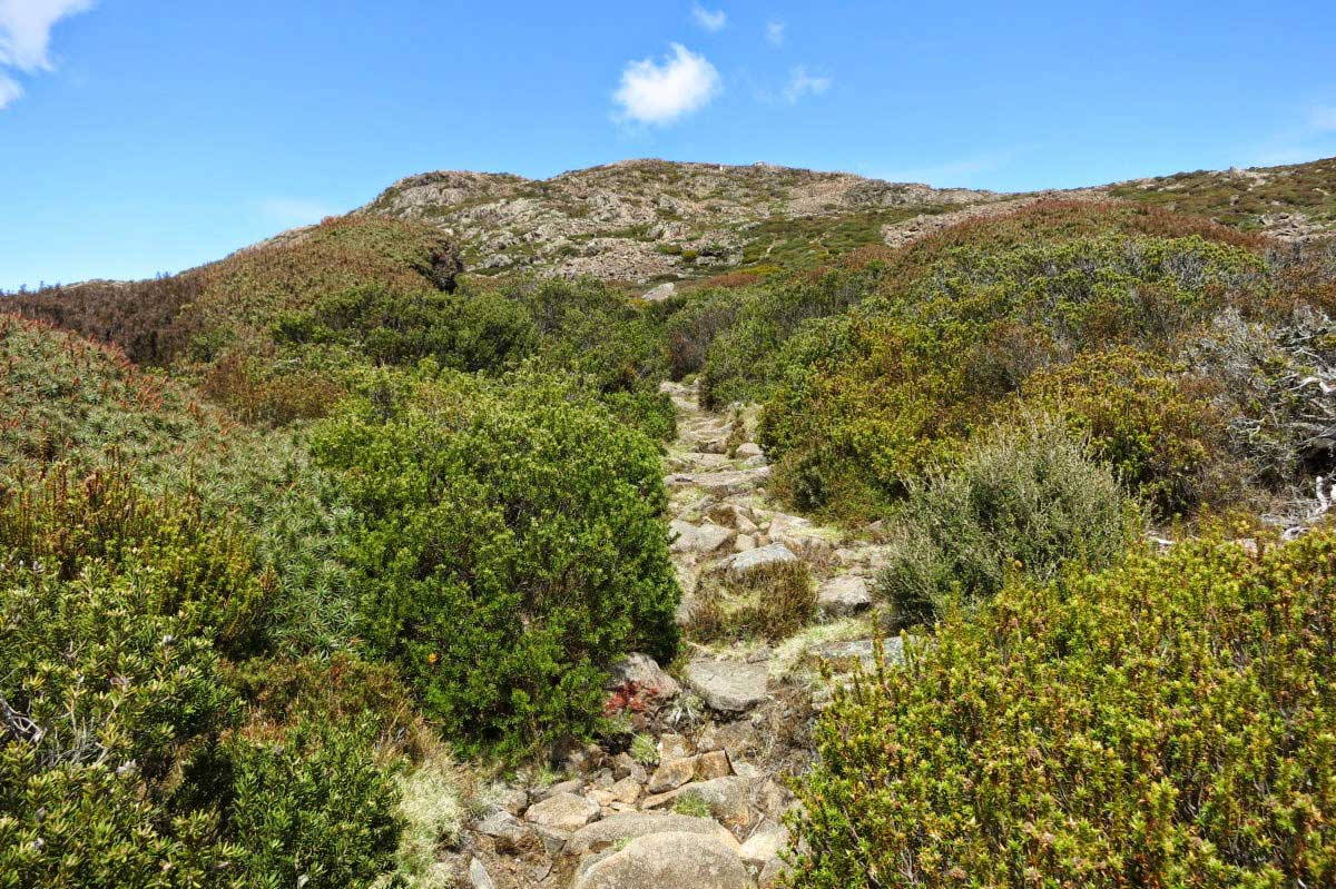 Ben Lomond National Park, Tasmania
