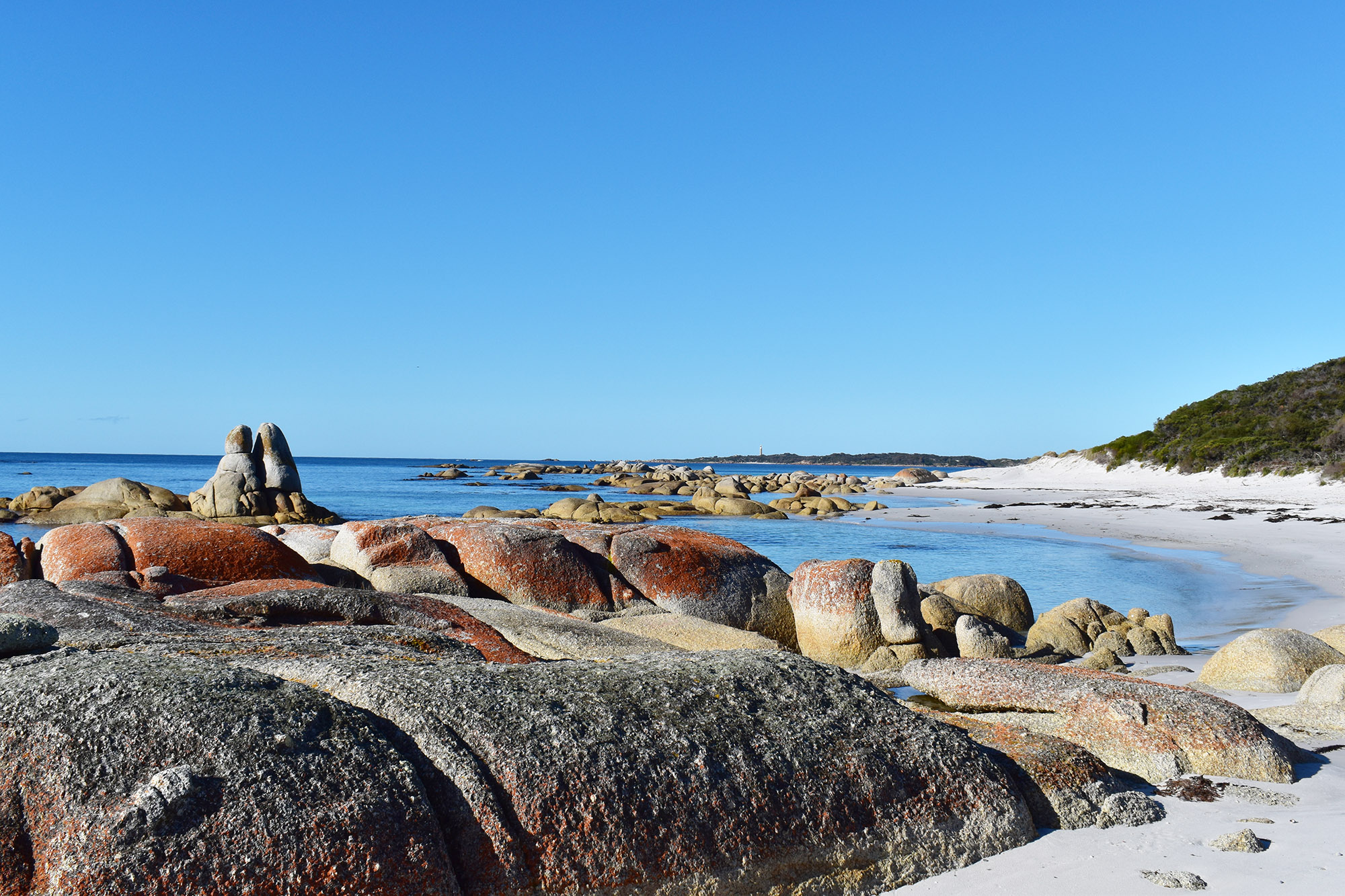 Eddystone Point