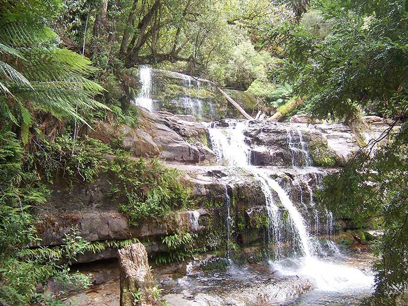 Liffey Falls