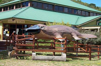 Neighbouring Towns: Latrobe