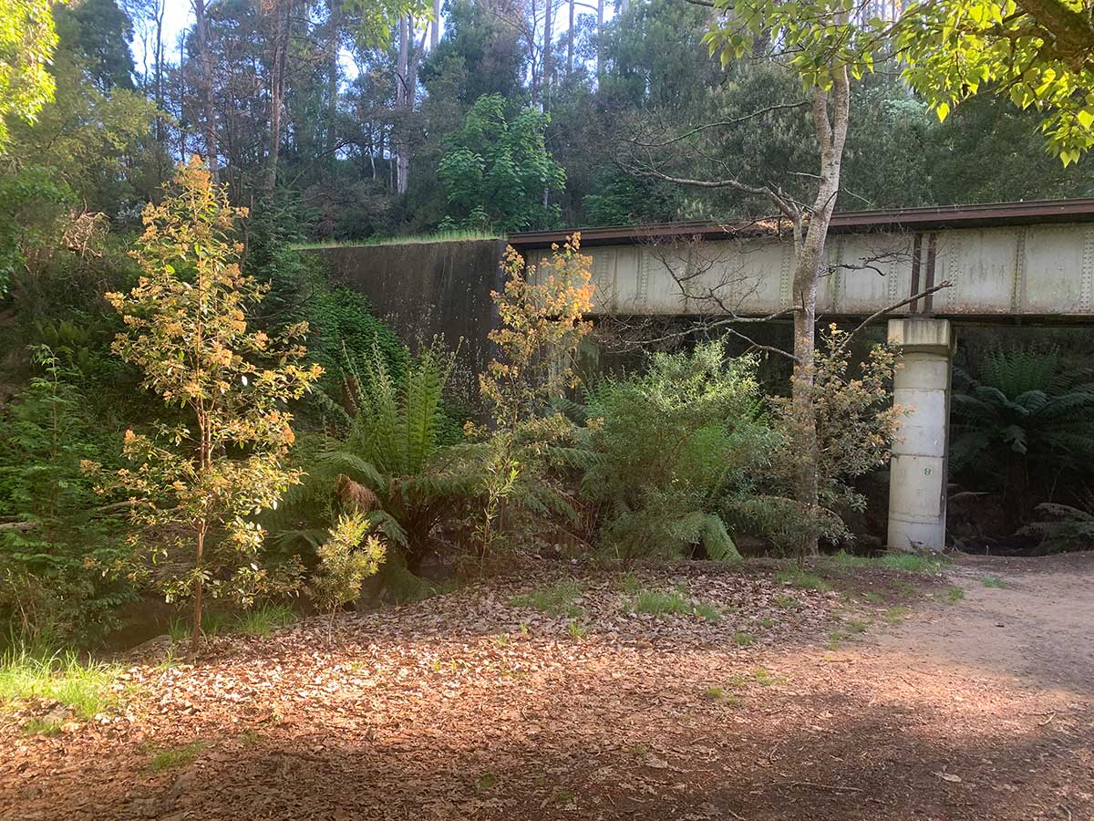 North East Rail Trail