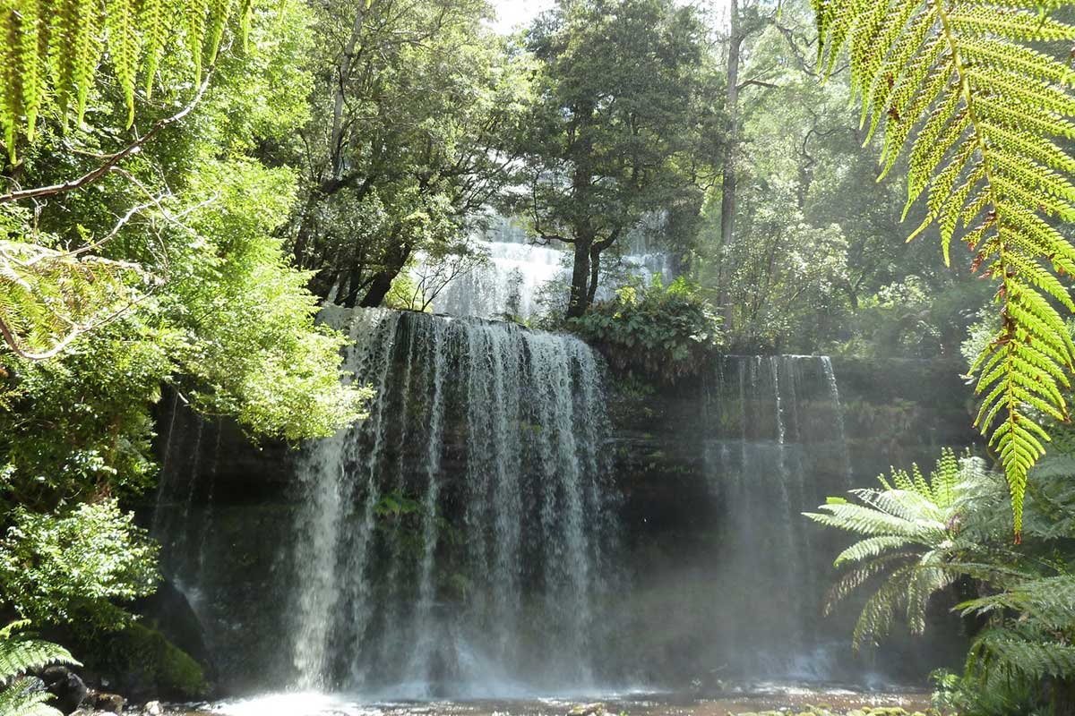 Mt Field National Park