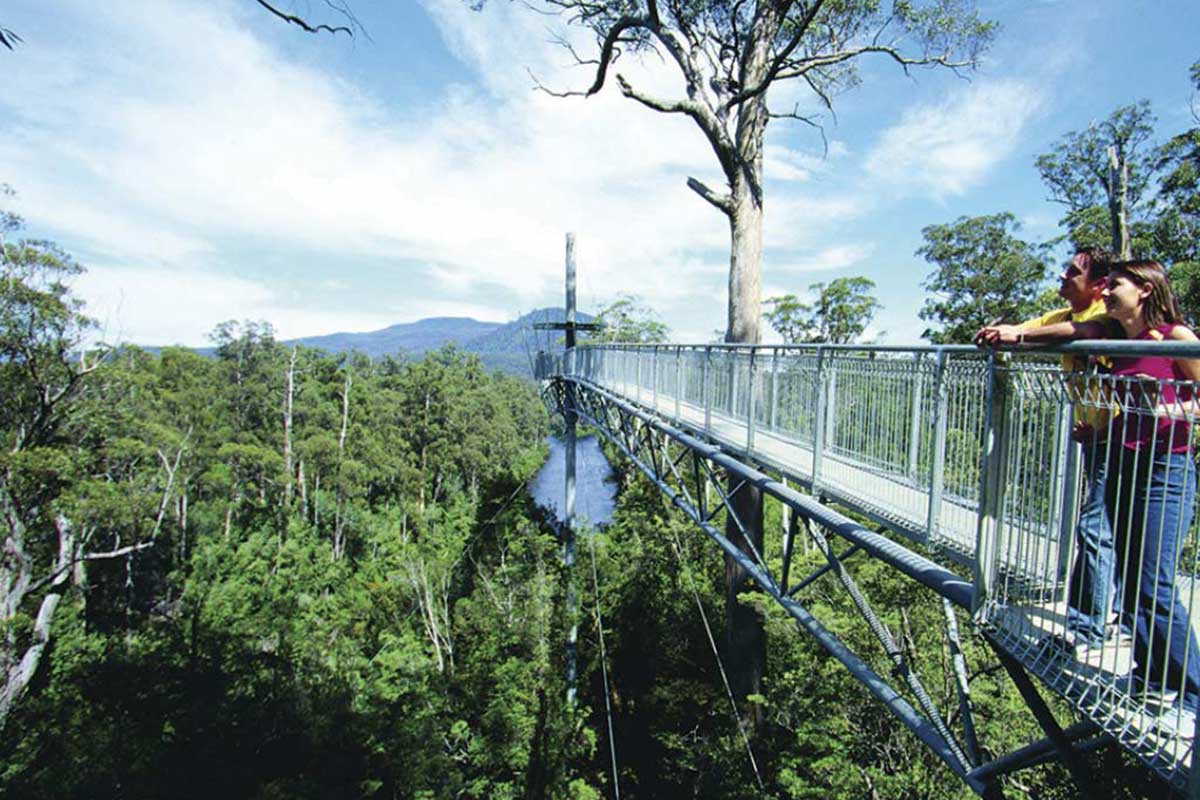 Tahune Forest AirWalk