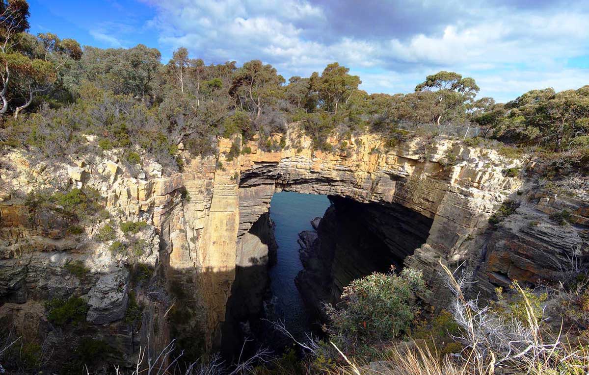 The Tarkine
