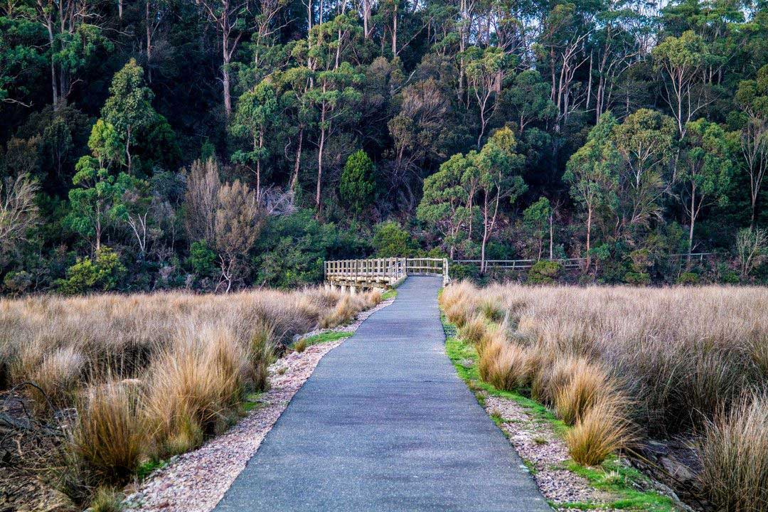 LORD DON ／don Tasmania essay Don, Tasmania