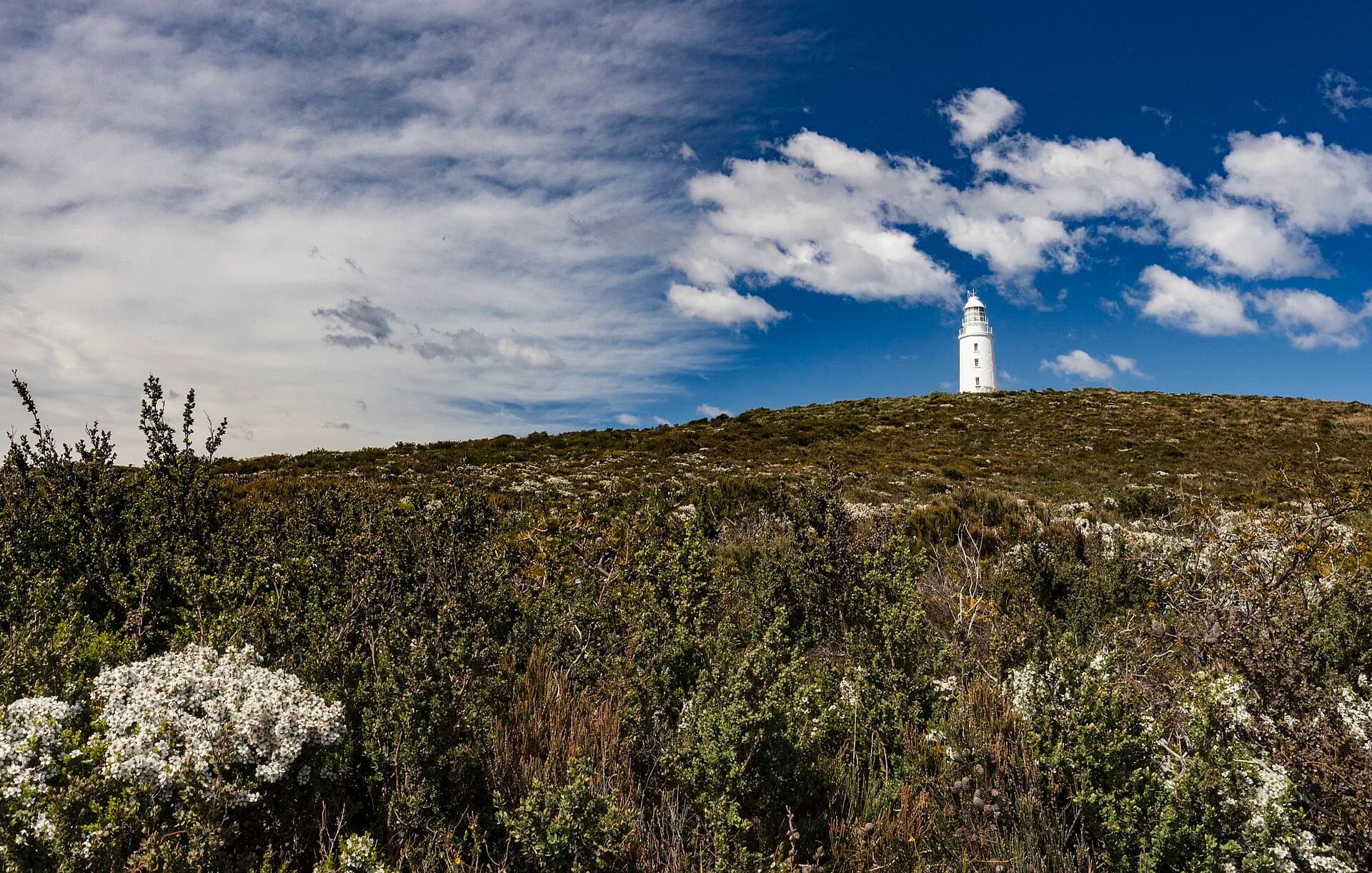 Rugged coast on Bruny Island
