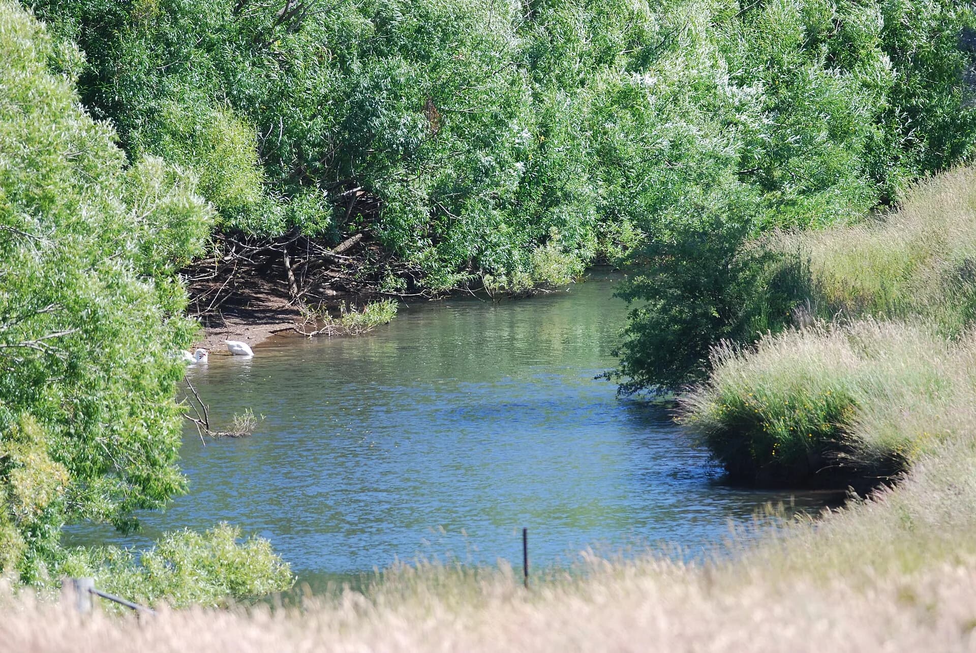 Liffey River in the northern farming district