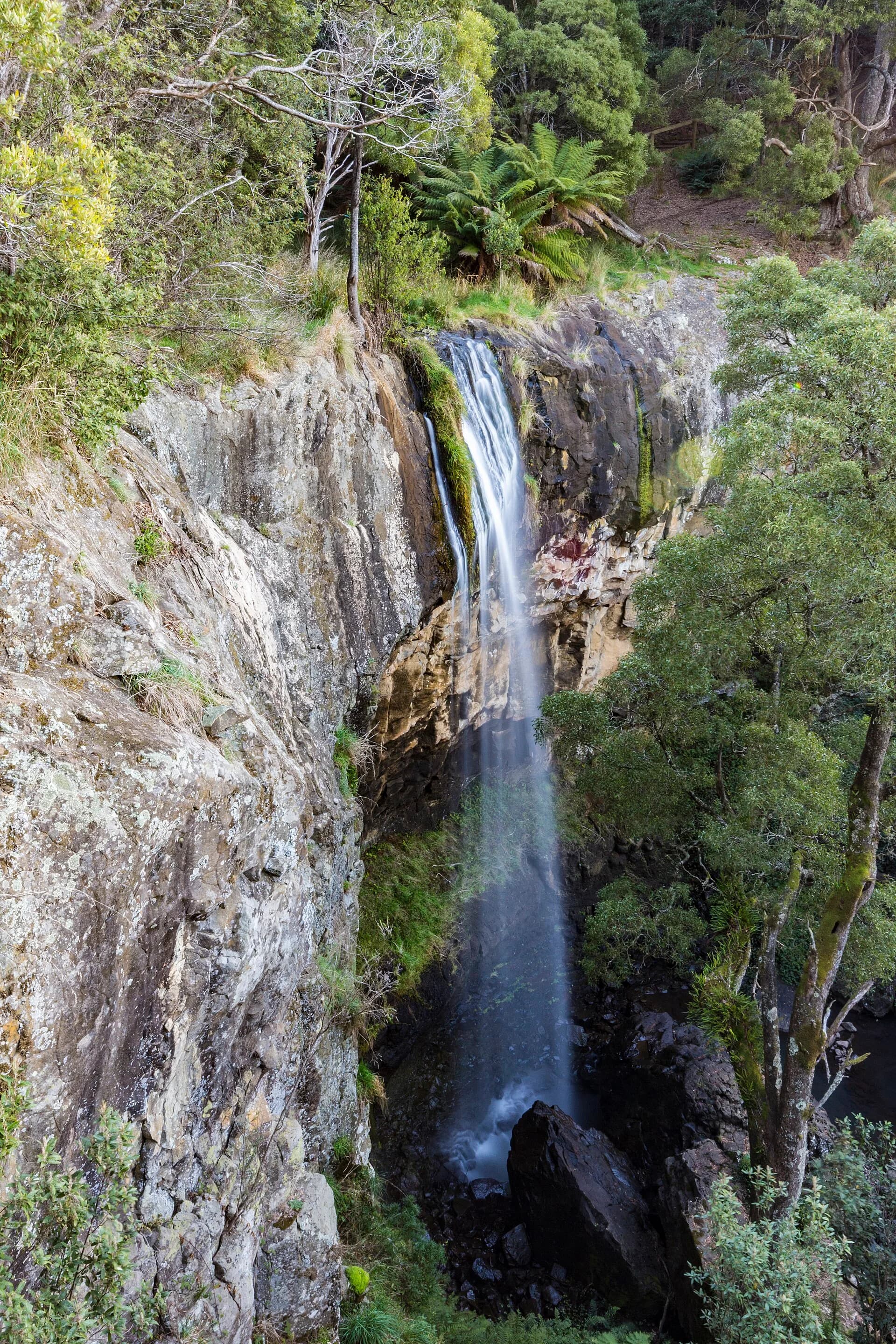 Forest and falling water in the Central Coast hinterland
