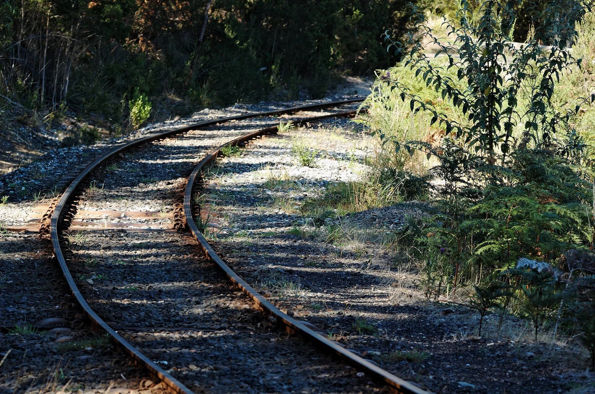 Rail track beside the Don River