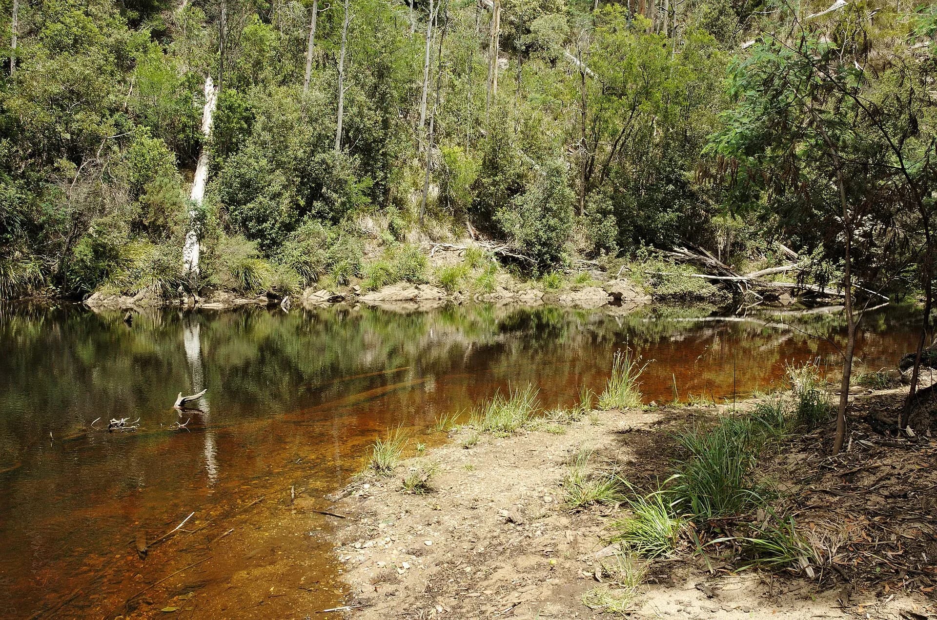 Formed path beside a Burnie waterway