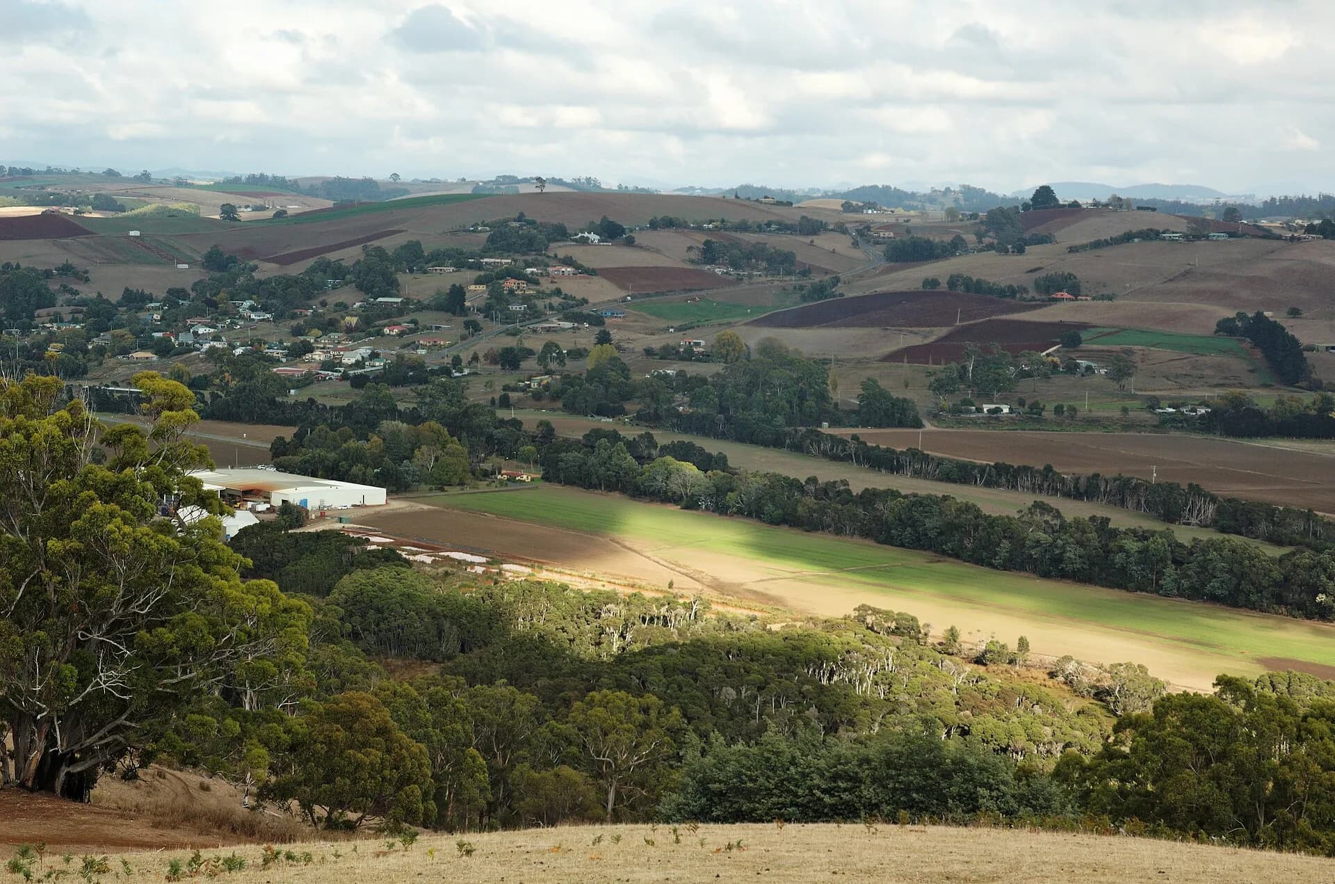 Forth Valley slopes and patchwork farmland
