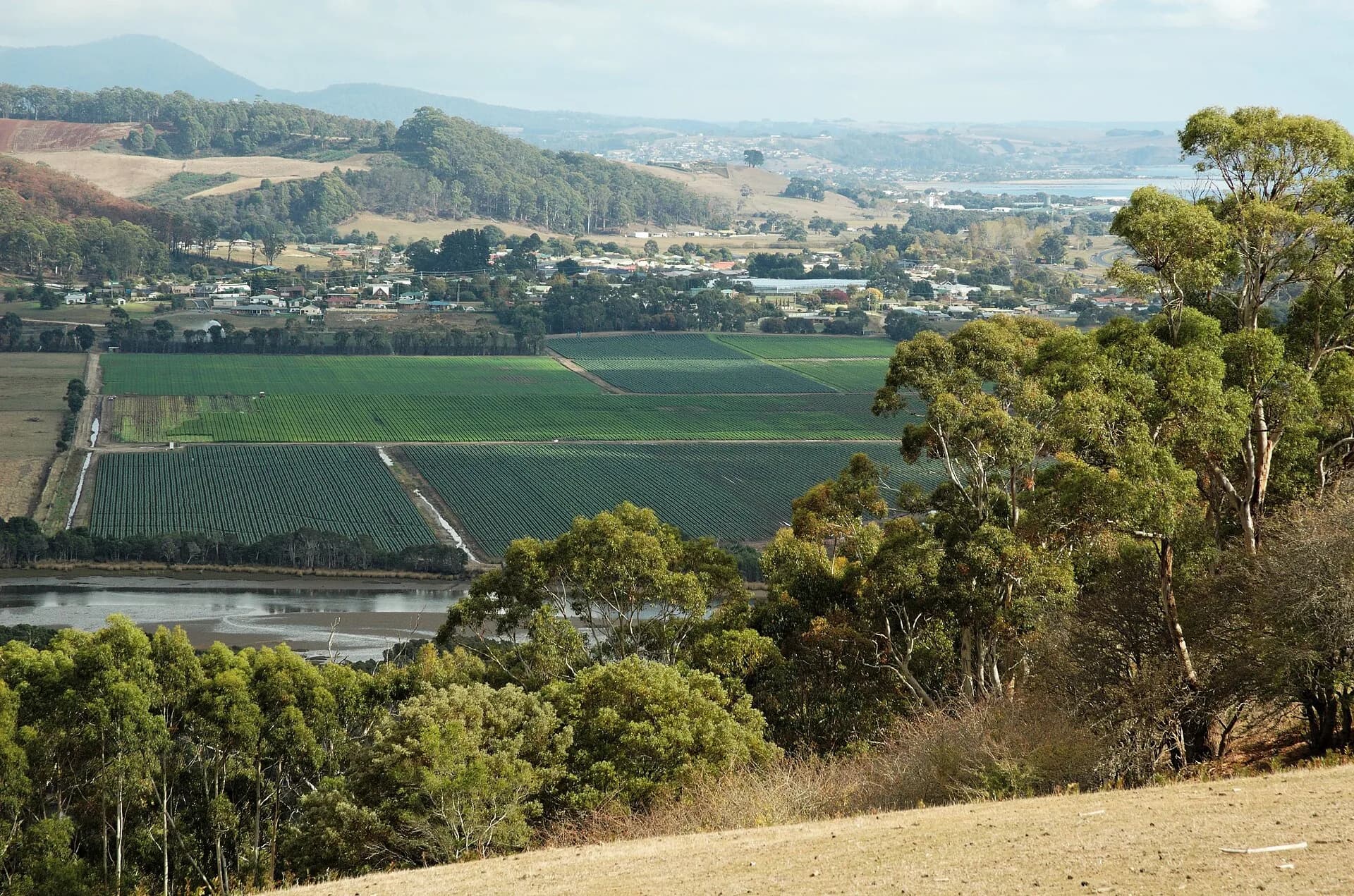Green farms across the Forth Valley in north-west Tasmania