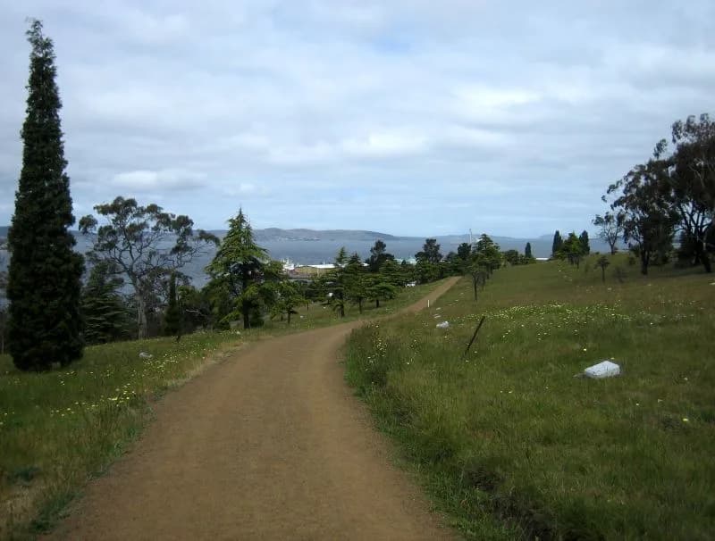 Trees and memorial plaques along Soldiers Memorial Avenue on the Queens Domain