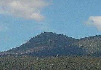 Mount Arthur rising near Lilydale