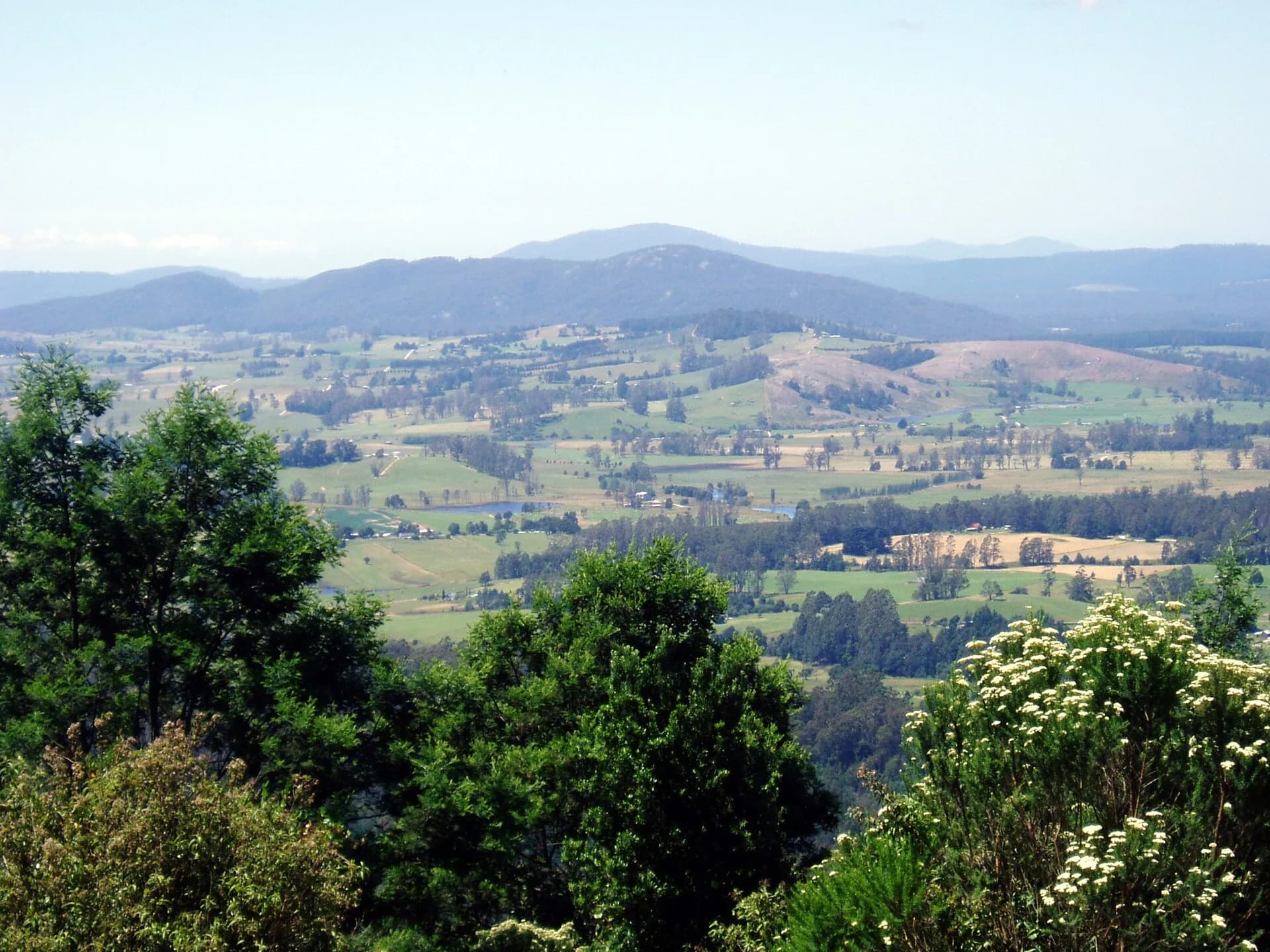 North-east Tasmanian rural and forest landscape