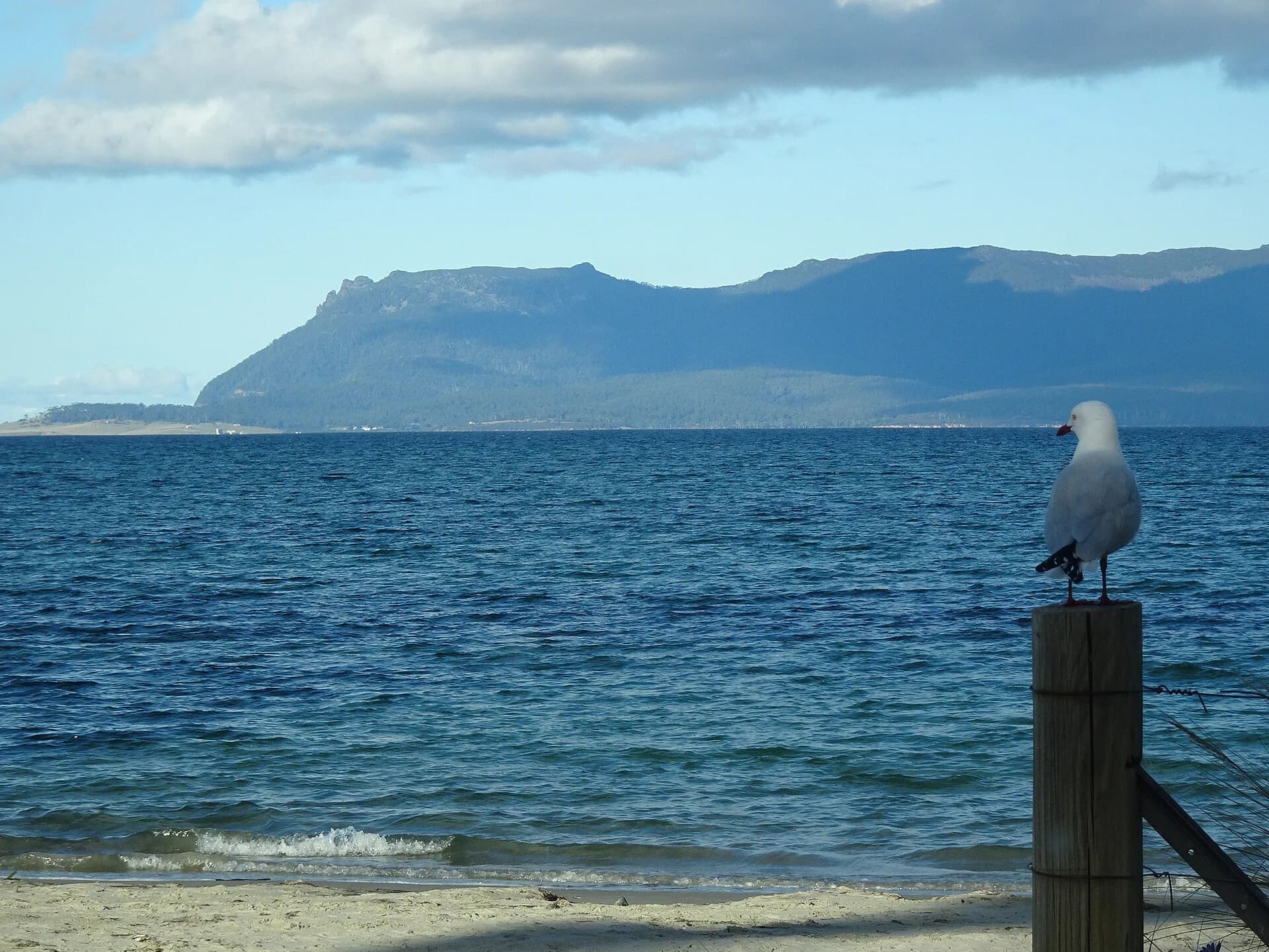 Beach at Orford looking towards Maria Island