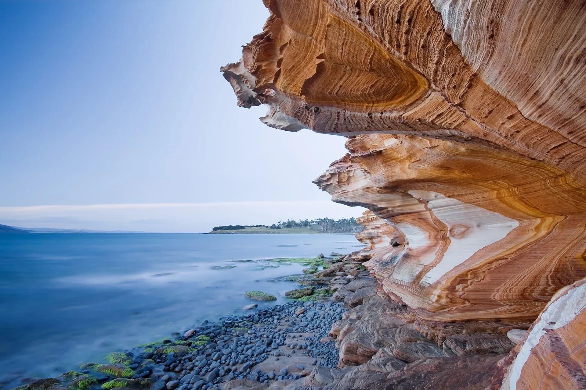 Patterned sandstone at the Painted Cliffs on Maria Island