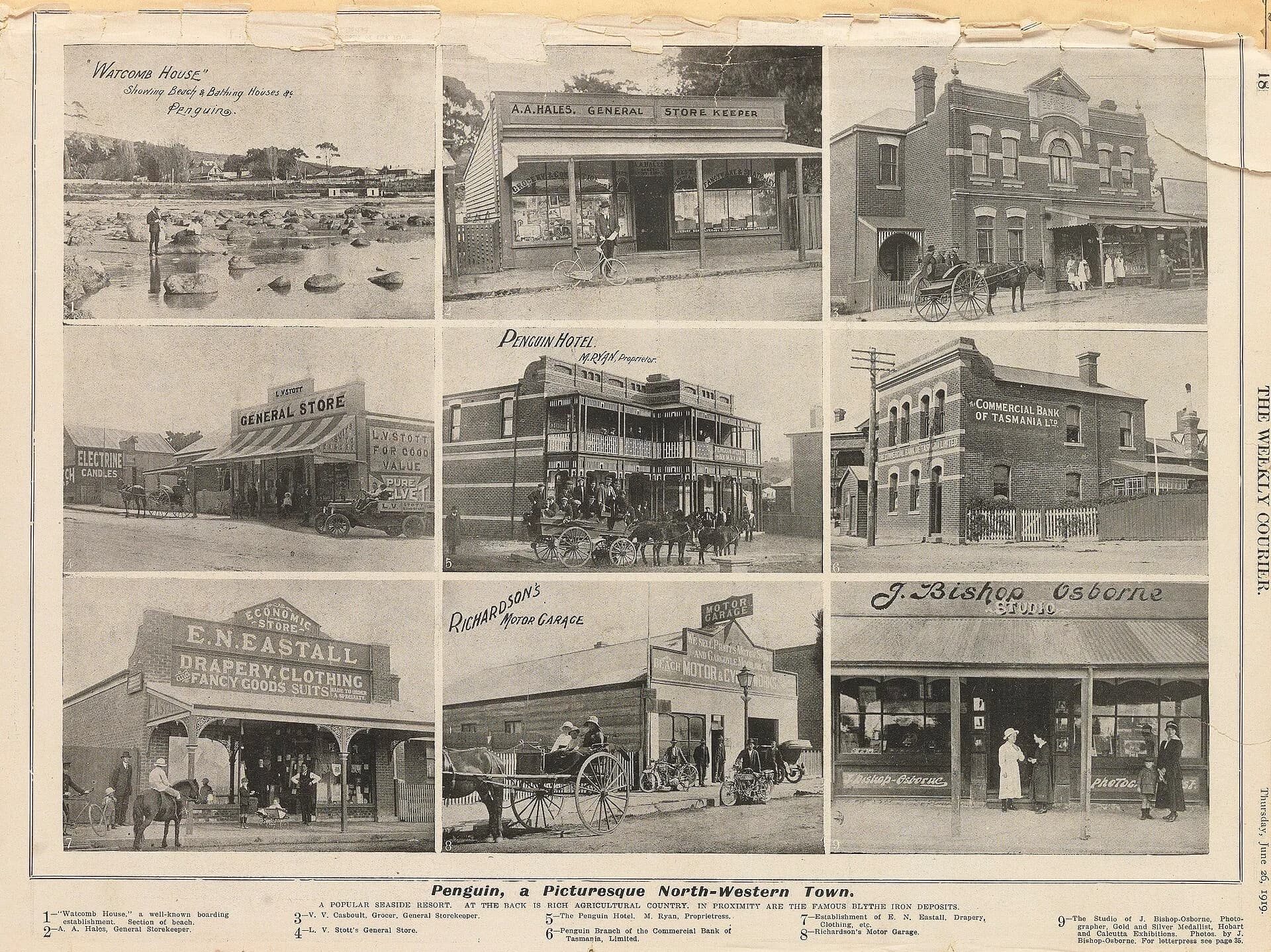 Penguin township in 1919