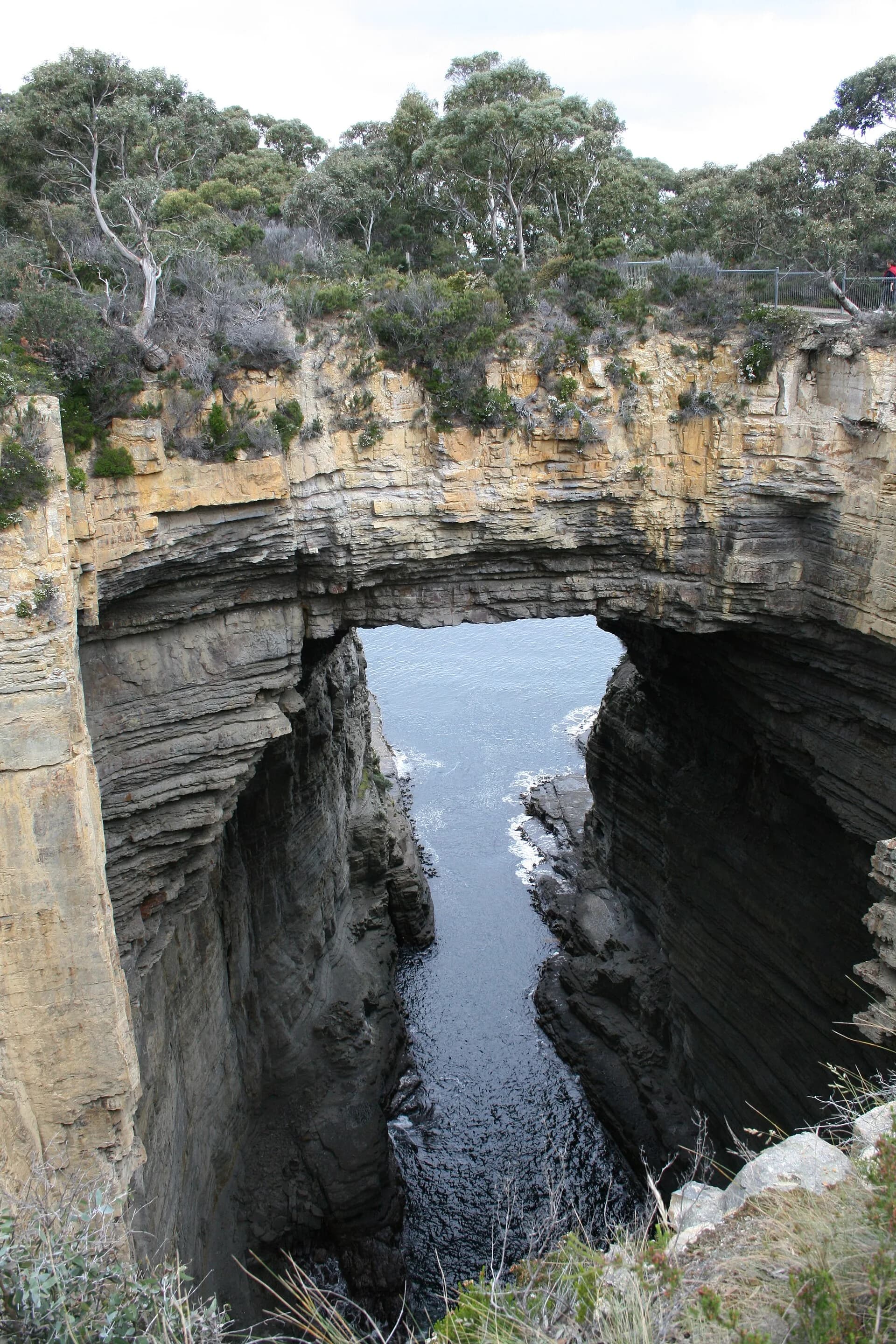 High sea cliffs on the Tasman Peninsula