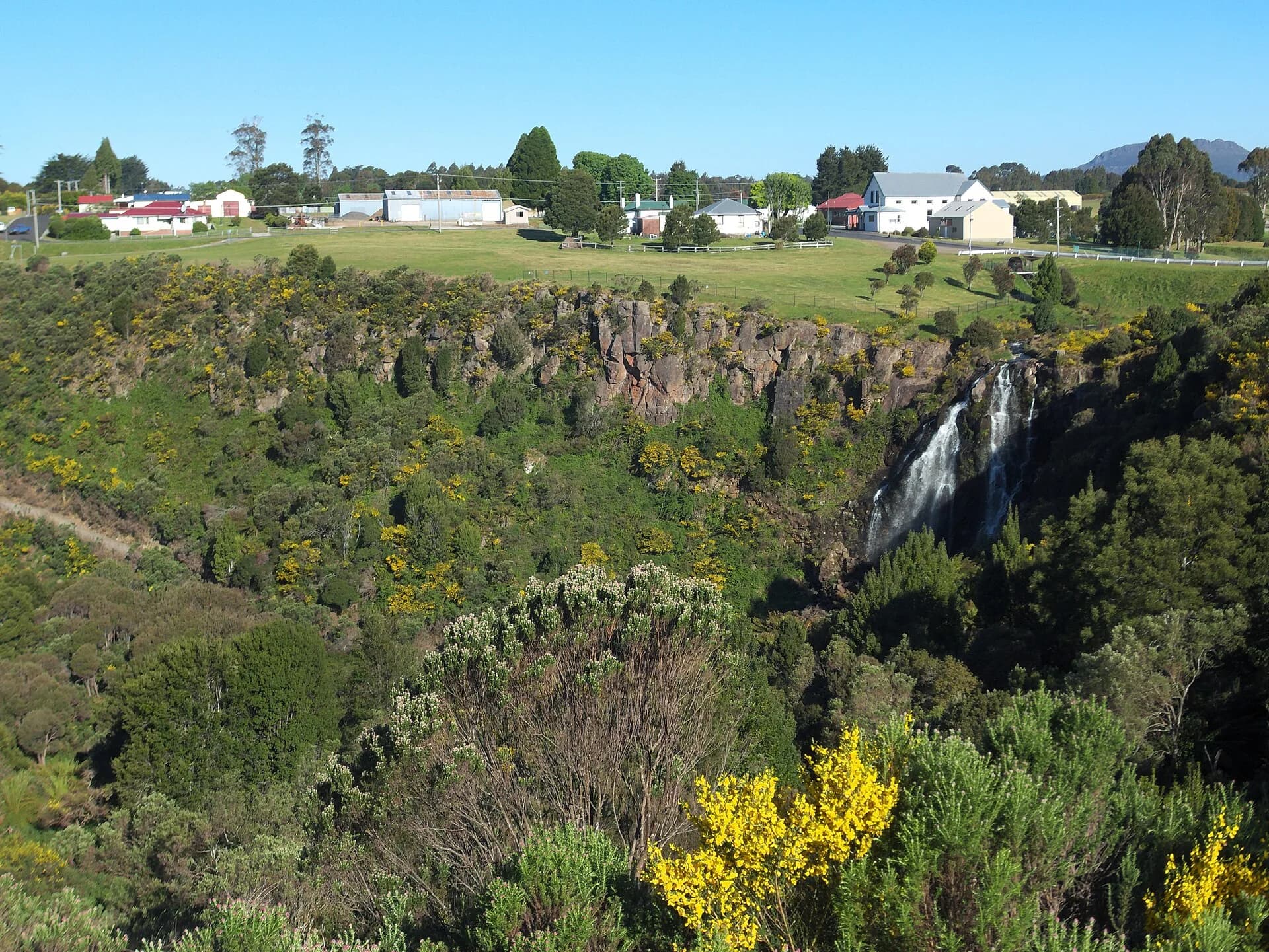 Waratah Falls dropping through a forested valley below the town