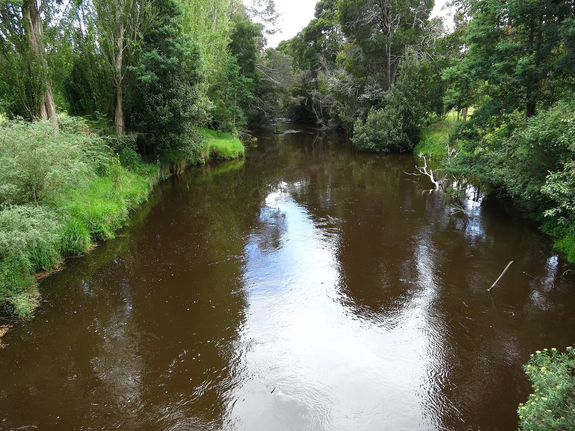 Tyenna River flowing through the valley