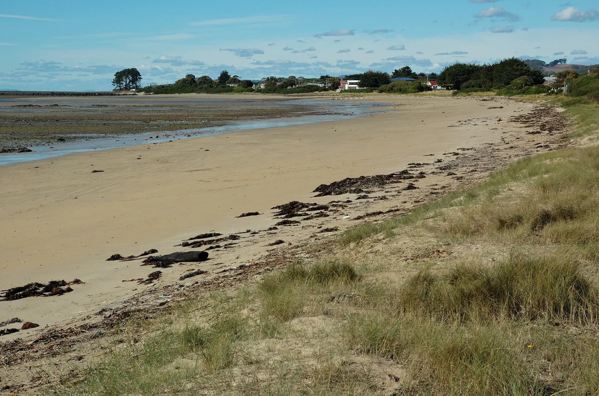 Coast and headland west of Wynyard