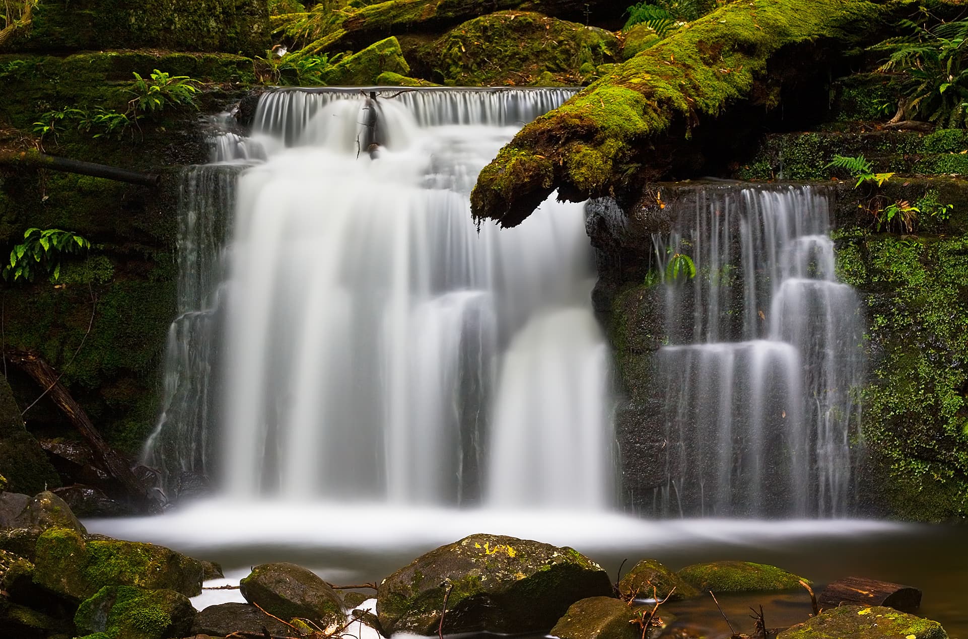 Strickland Falls, Tasmania, Australia