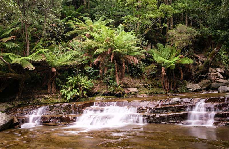 Lower Liffey Falls