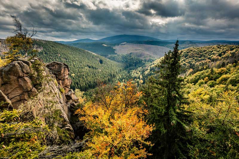 Hartz Mountains National Park