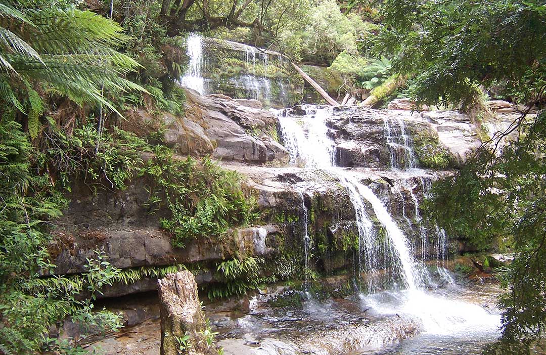 Liffey Falls