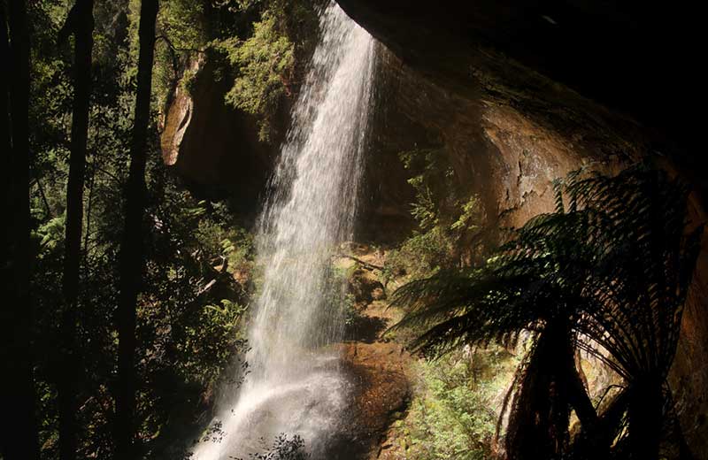 Shower Cave Falls