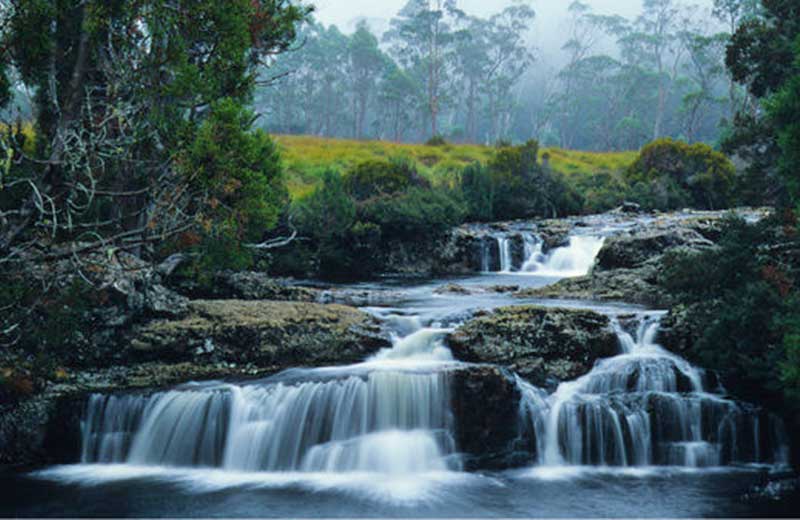 Enchanted Falls