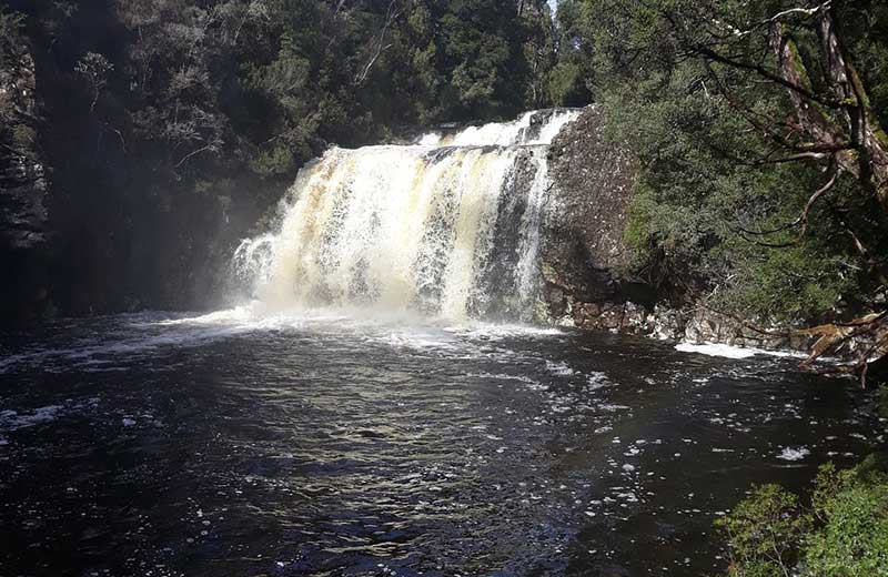 Pencil Pine and Knyvet Falls