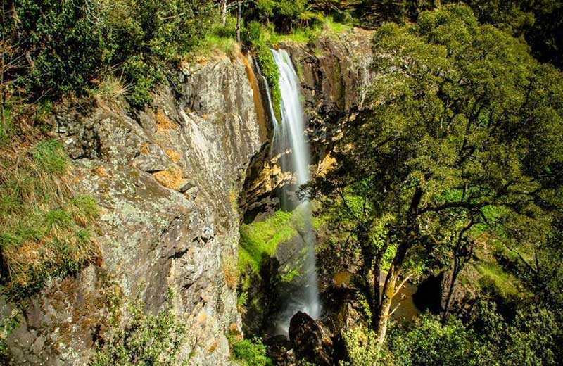 Prestons Falls