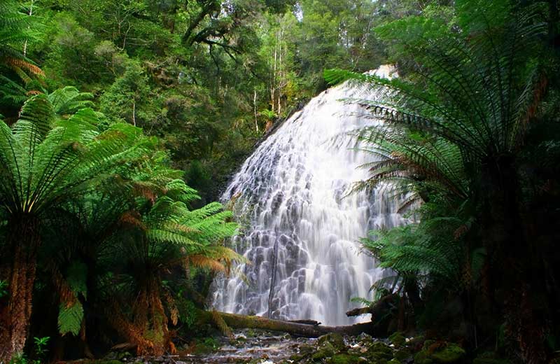 Tarkine Falls