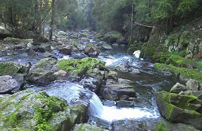 Lobster Falls