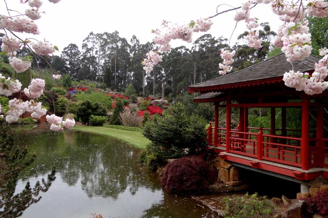 Emu Valley Rhododendron Garden