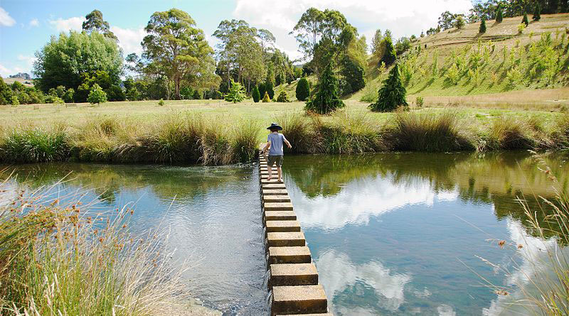 Tasmanian Arboretum