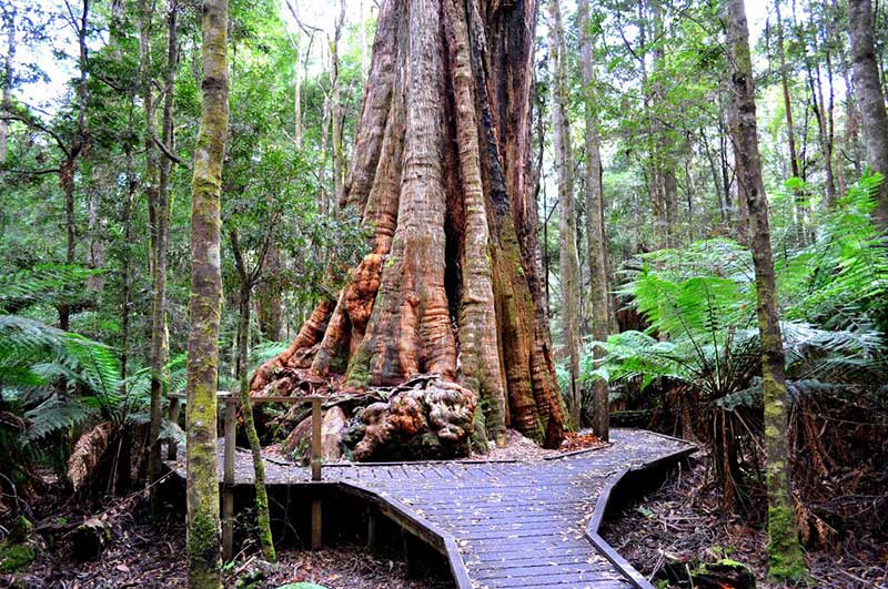 Neighbouring Towns: Arthur River
