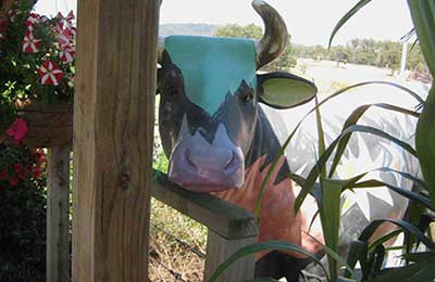 Neighbouring Towns: Deloraine