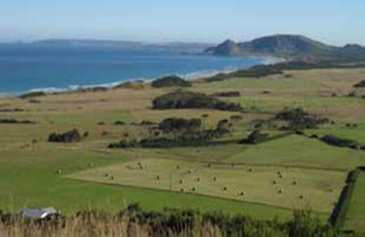 Neighbouring Towns: Marrawah